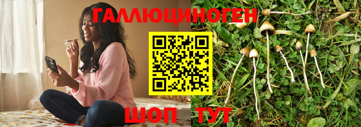 Псилоцибиновые грибы мухоморы Тайшет