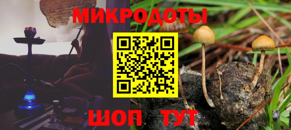 купить наркоту  Псилоцибиновые грибы MAGIC MUSHROOMS  Вход с VPN  Тайшет 
