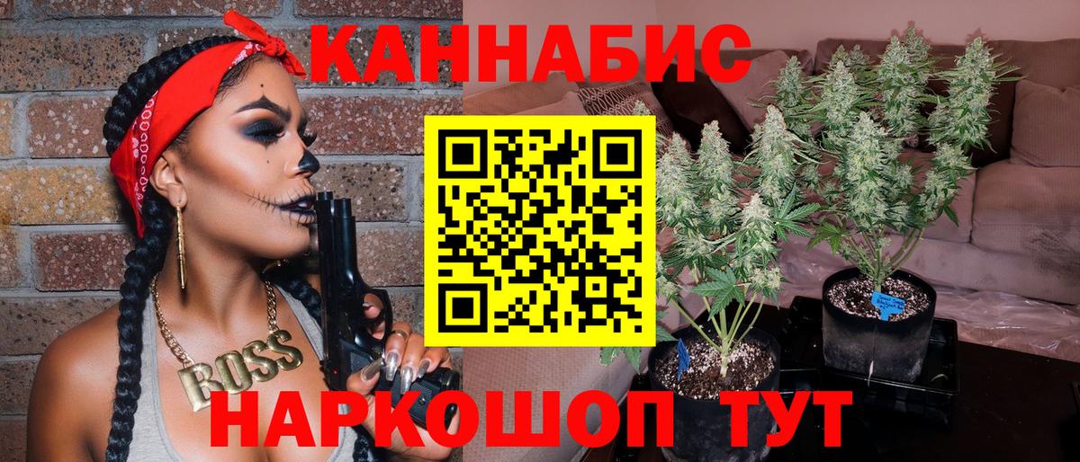 Марихуана конопля  Канабис тримм  Бошки марихуана White Widow  Вход с VPN  Тайшет 